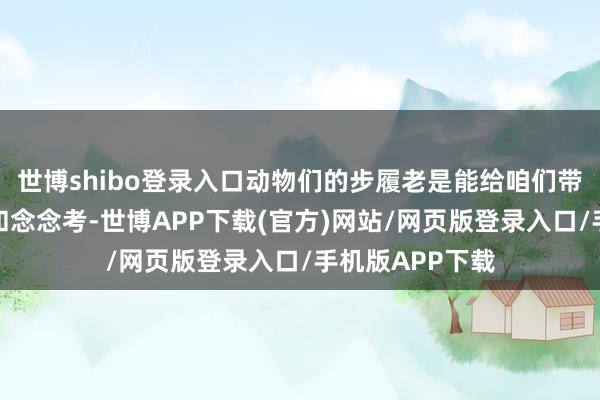 世博shibo登录入口动物们的步履老是能给咱们带来无穷的乐趣和念念考-世博APP下载(官方)网站/网页版登录入口/手机版APP下载