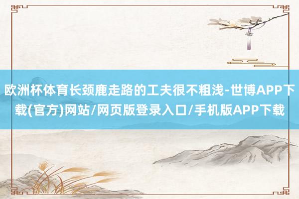 欧洲杯体育长颈鹿走路的工夫很不粗浅-世博APP下载(官方)网站/网页版登录入口/手机版APP下载
