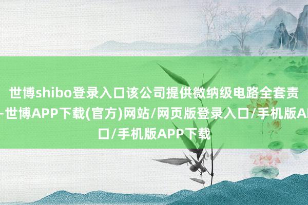 世博shibo登录入口该公司提供微纳级电路全套责罚决议-世博APP下载(官方)网站/网页版登录入口/手机版APP下载