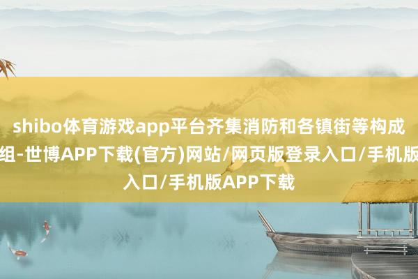 shibo体育游戏app平台齐集消防和各镇街等构成齐集搜检组-世博APP下载(官方)网站/网页版登录入口/手机版APP下载