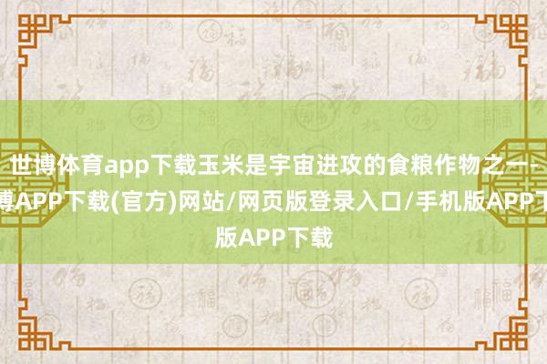世博体育app下载玉米是宇宙进攻的食粮作物之一-世博APP下载(官方)网站/网页版登录入口/手机版APP下载