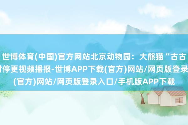 世博体育(中国)官方网站北京动物园：大熊猫“古古”肉体机能下落，暂时停更视频播报-世博APP下载(官方)网站/网页版登录入口/手机版APP下载