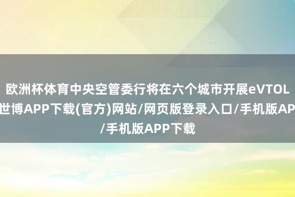 欧洲杯体育中央空管委行将在六个城市开展eVTOL试点-世博APP下载(官方)网站/网页版登录入口/手机版APP下载