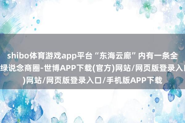 shibo体育游戏app平台“东海云廊”内有一条全长约25公里的滨海绿说念商圈-世博APP下载(官方)网站/网页版登录入口/手机版APP下载