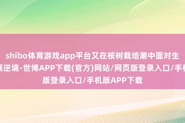 shibo体育游戏app平台又在桉树栽培潮中面对生态与经济发展逆境-世博APP下载(官方)网站/网页版登录入口/手机版APP下载